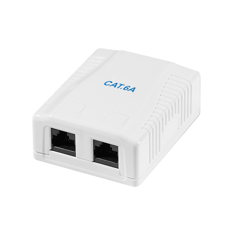 CAT6/CAT6A UTP Unshielded Surface Mount Box With 2 x RJ45 Port