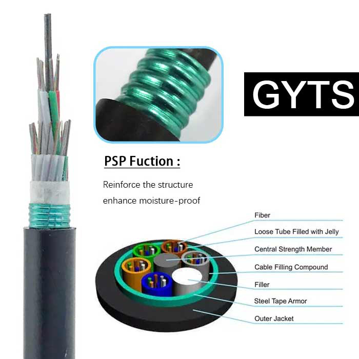 GYTS-3