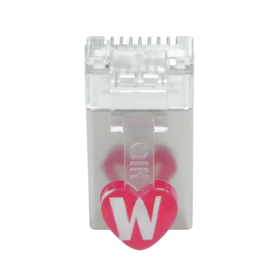 QIN patent RJ45 Modular Plug  (12)