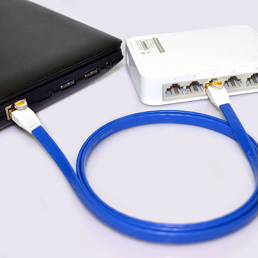 Cat6a 24AWG SFTP Flat Patch Cord